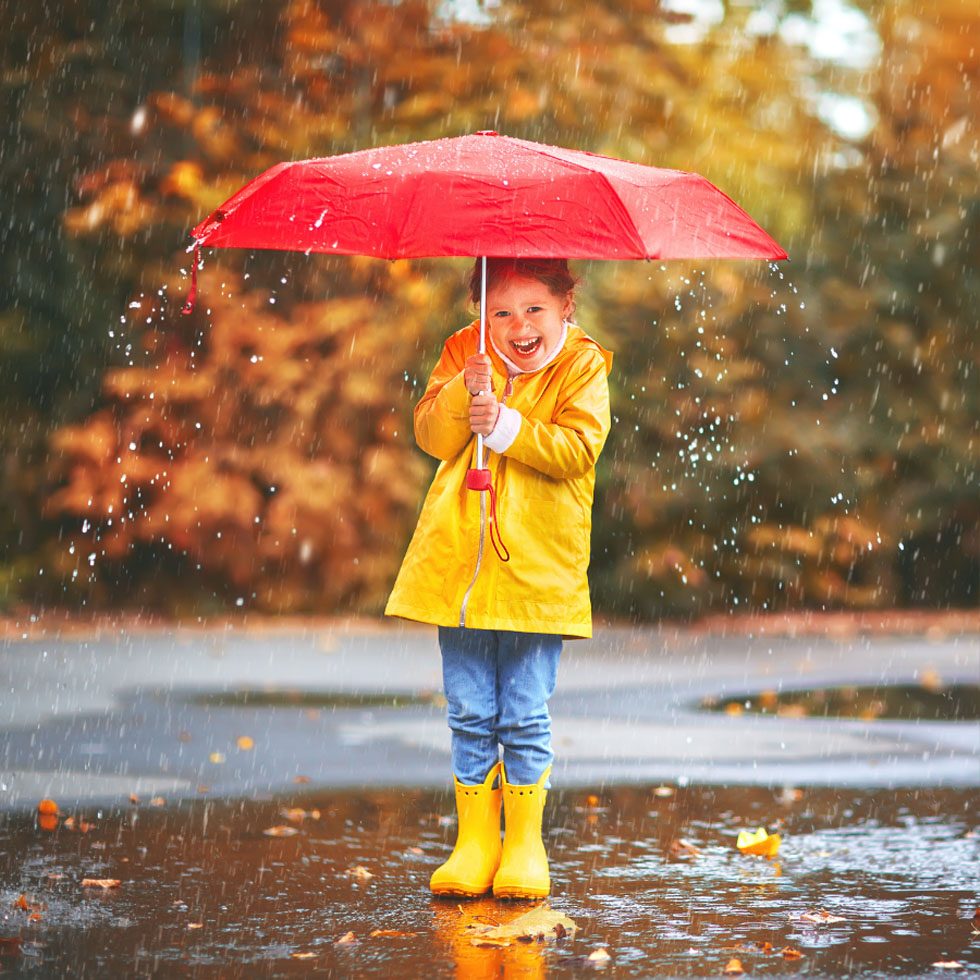 Fall Umbrella Box 2023