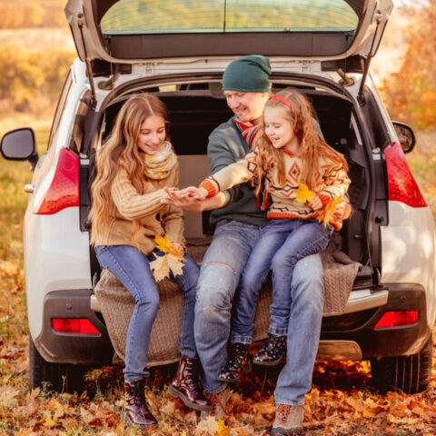 Fall-Auto-Box-2023-480x480 Auto Insurance